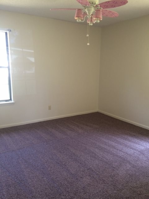 Gallery Photo 5